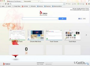 Torch browser